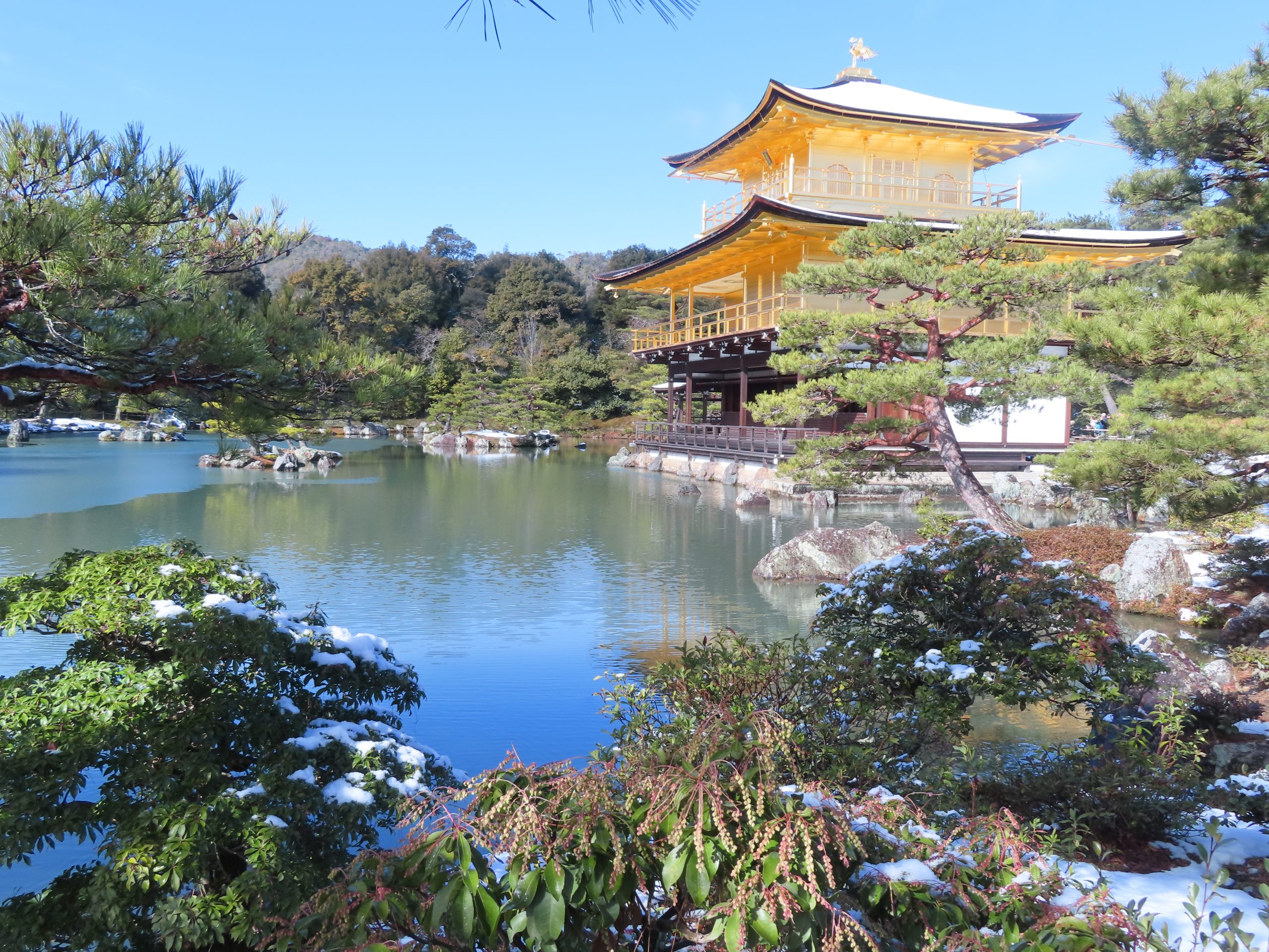 Let’s Explore Kyoto Together