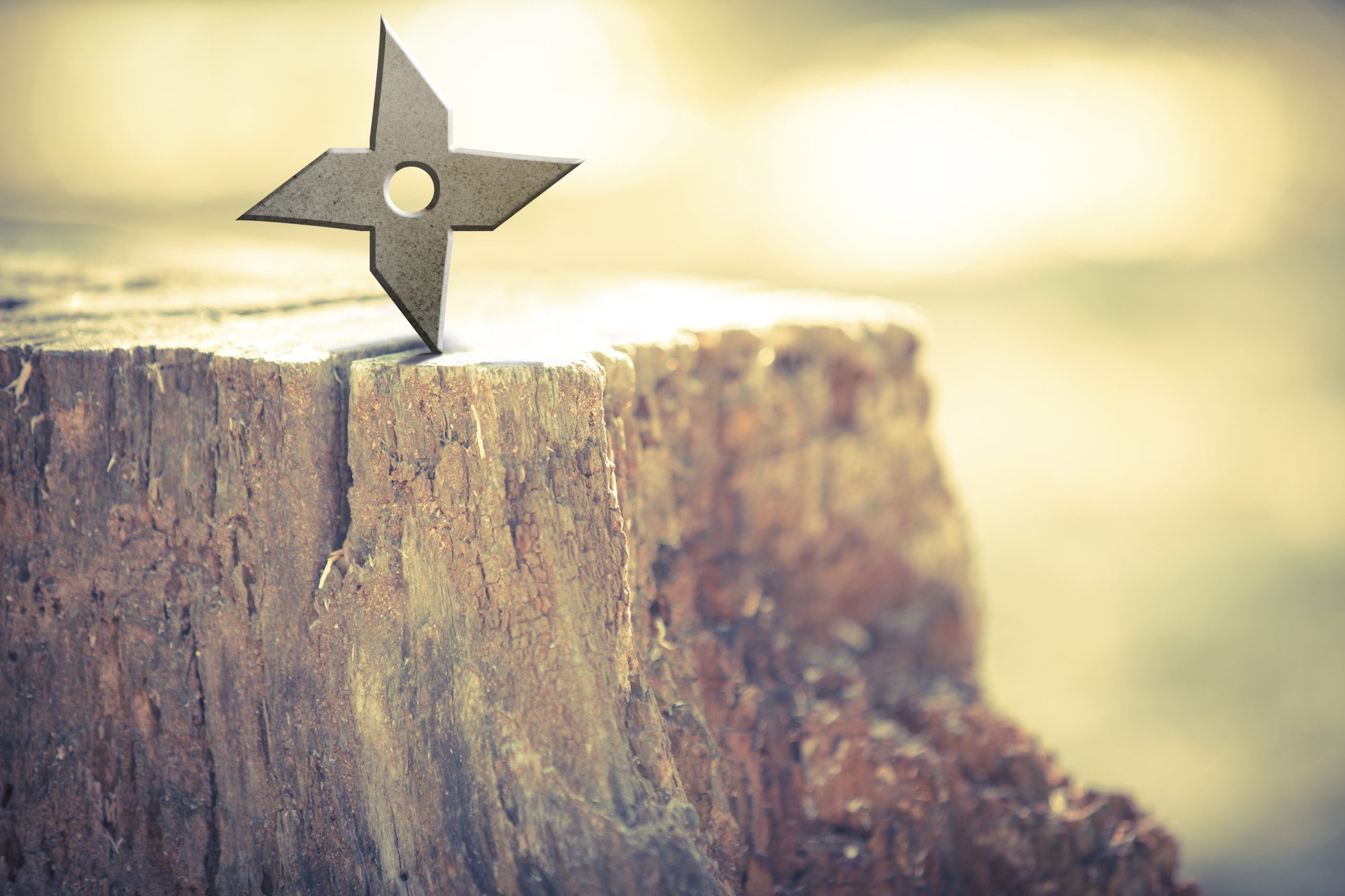 Let’s Explore Kyoto Together